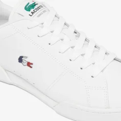 Lacoste Carnaby Cup