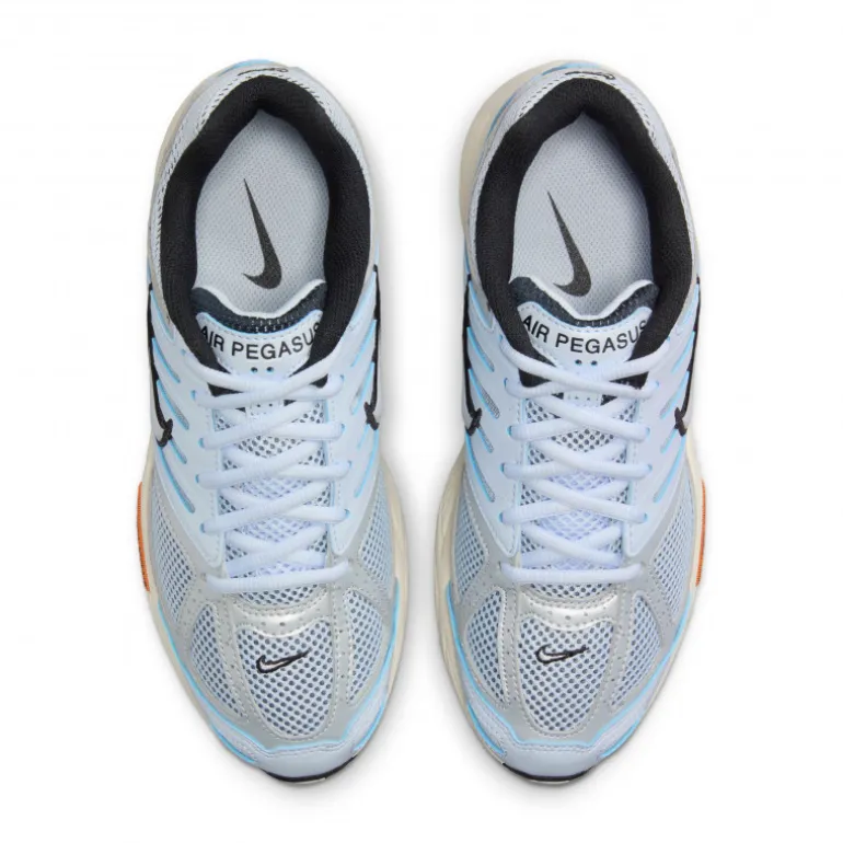 Nike Air Pegasus 2005