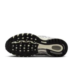 Nike Air Pegasus 2005