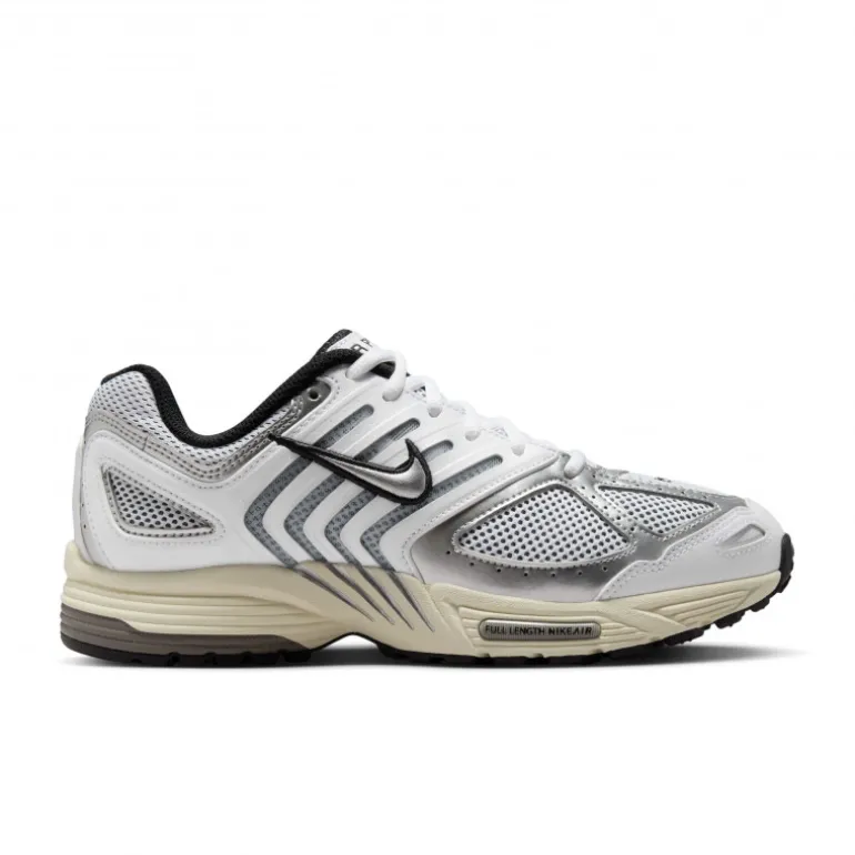 Nike Air Pegasus 2005