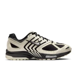 Nike Air Pegasus 2005