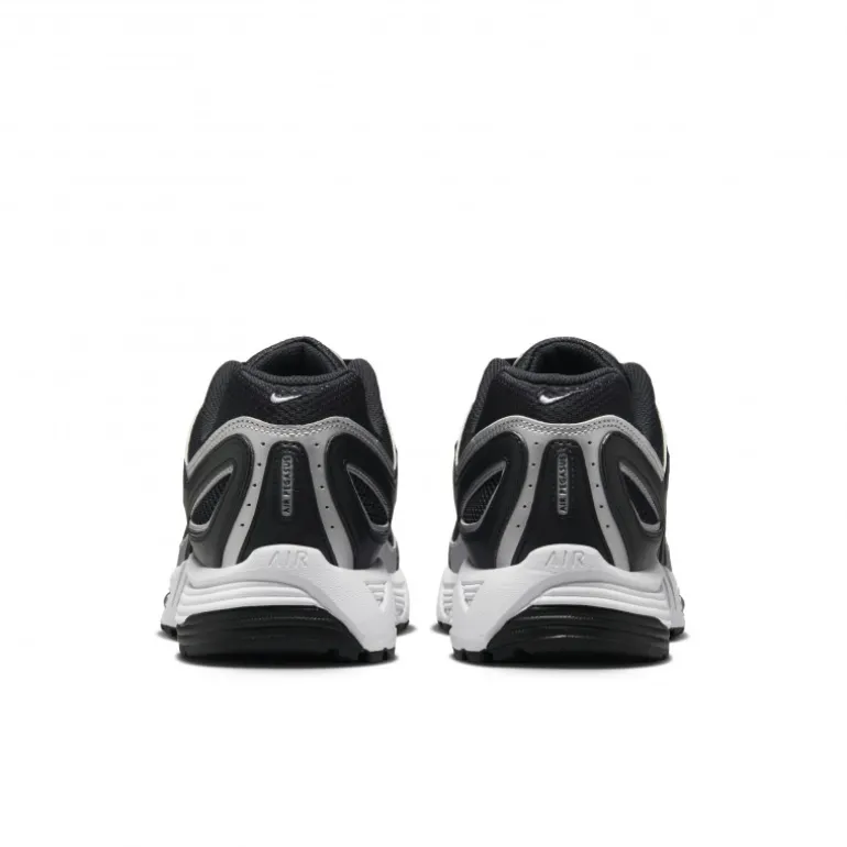 Nike Air Pegasus 2005