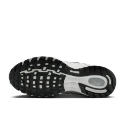 Nike Air Pegasus 2k5