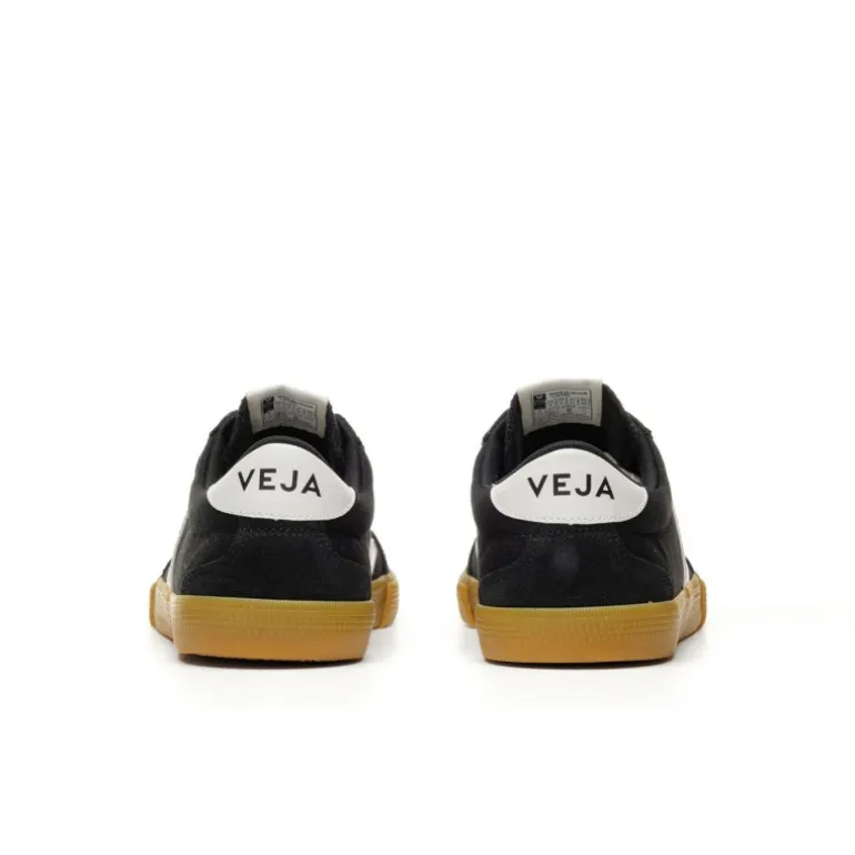 Veja Volley Canvas